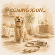 Pet Leash