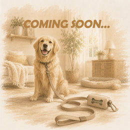 Pet Leash