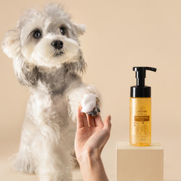 No-Rinse  Paw Cleaning Foam