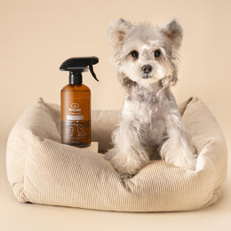 Purifying and Deodorizing Spray