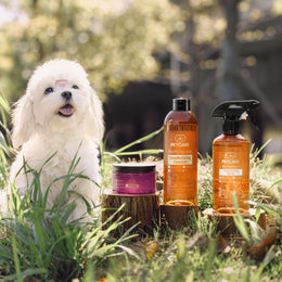 Purifying and Deodorizing Cleanser