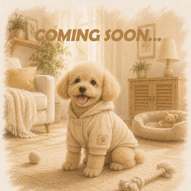 Pet Clothes