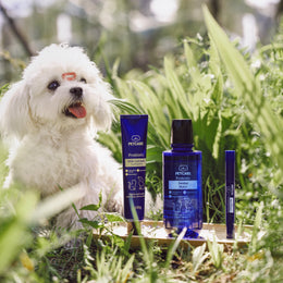 Probiotic & Milk Calcium Tooth-Cleaning Pen