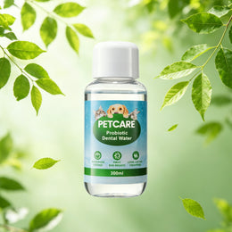 Probiotic Dental Water