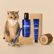 Probiotic Milk Calcium Toothpaste