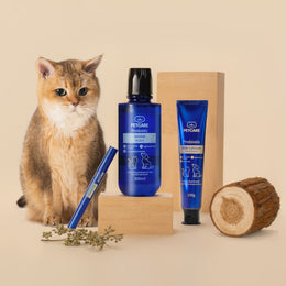 Probiotic Milk Calcium Toothpaste