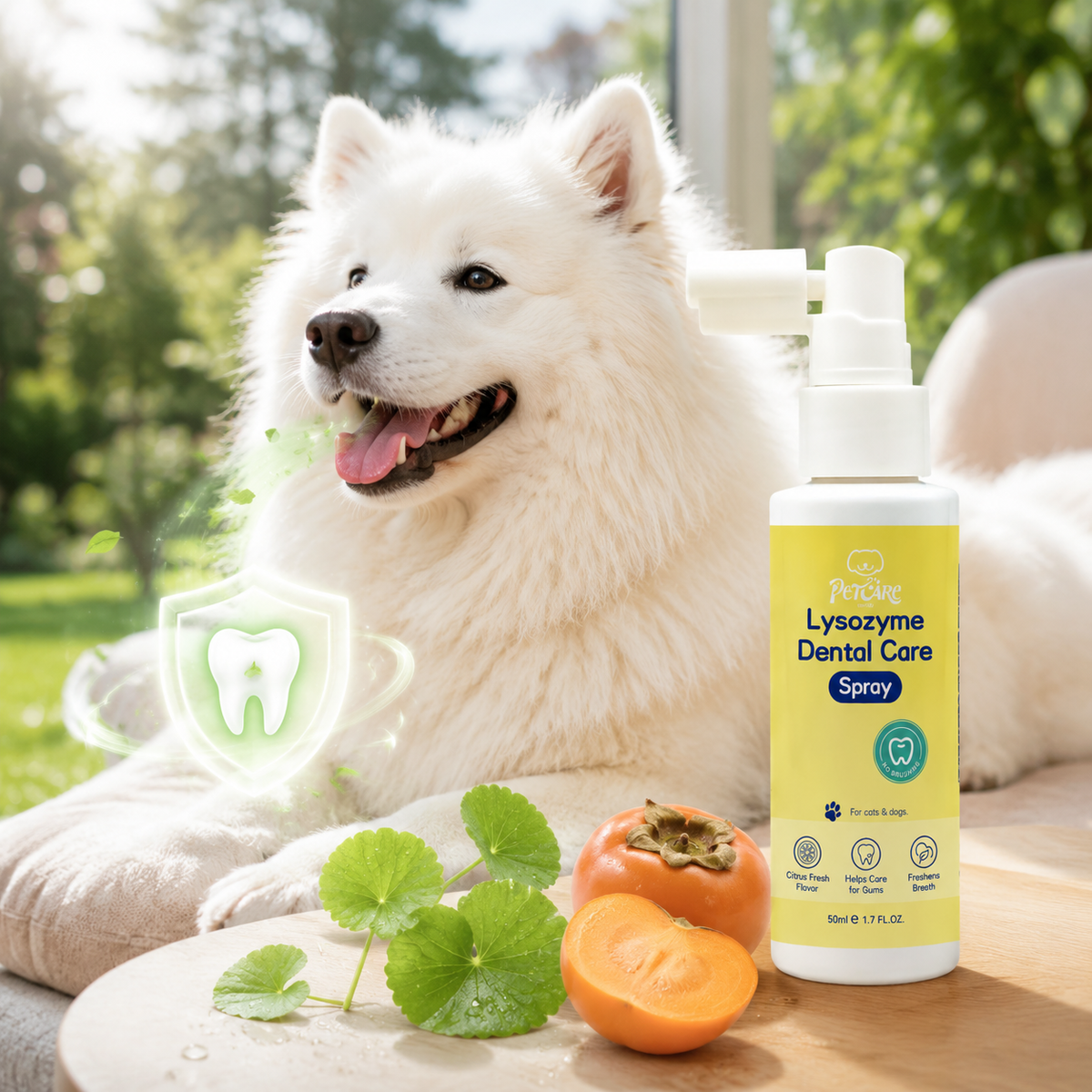 Lysozyme Dental Care Spray / 溶菌酶洁齿喷雾