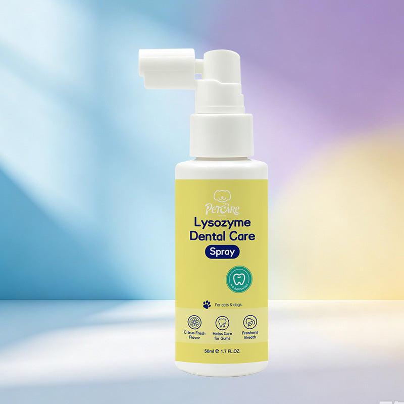 Lysozyme Dental Care Spray / 溶菌酶洁齿喷雾