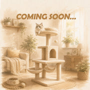 Cat Condo