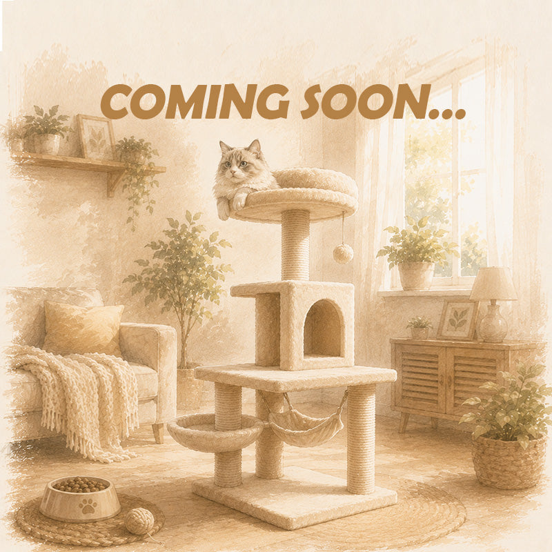 Cat Condo