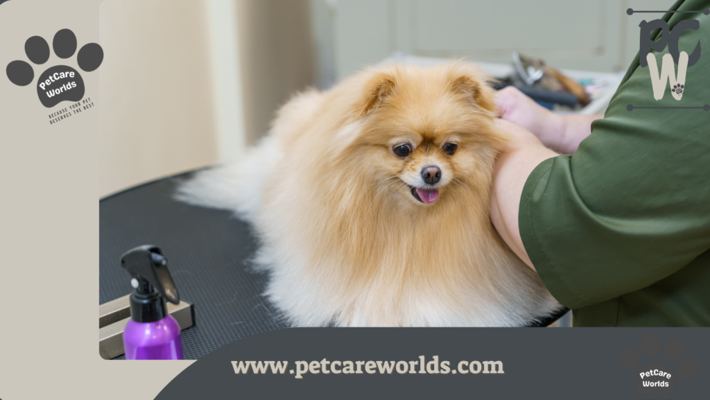 Pet urgent CARE 