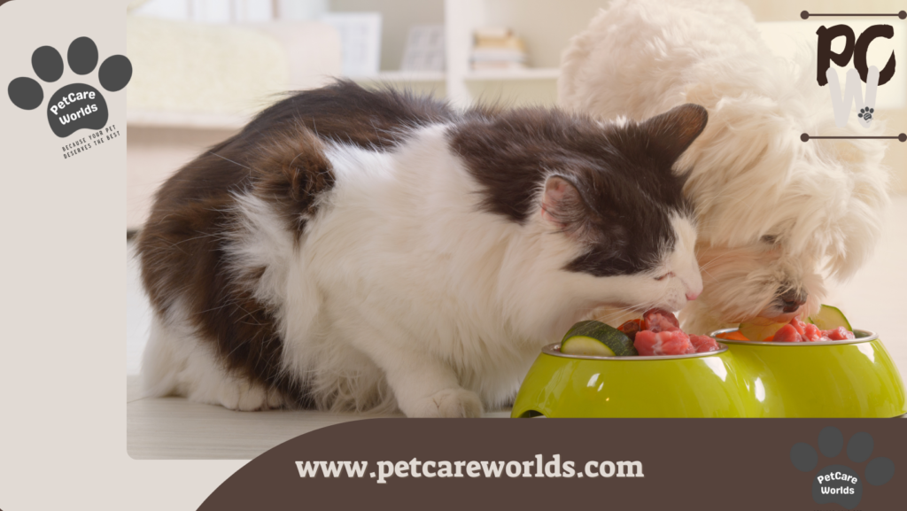 Homemade Cat Food