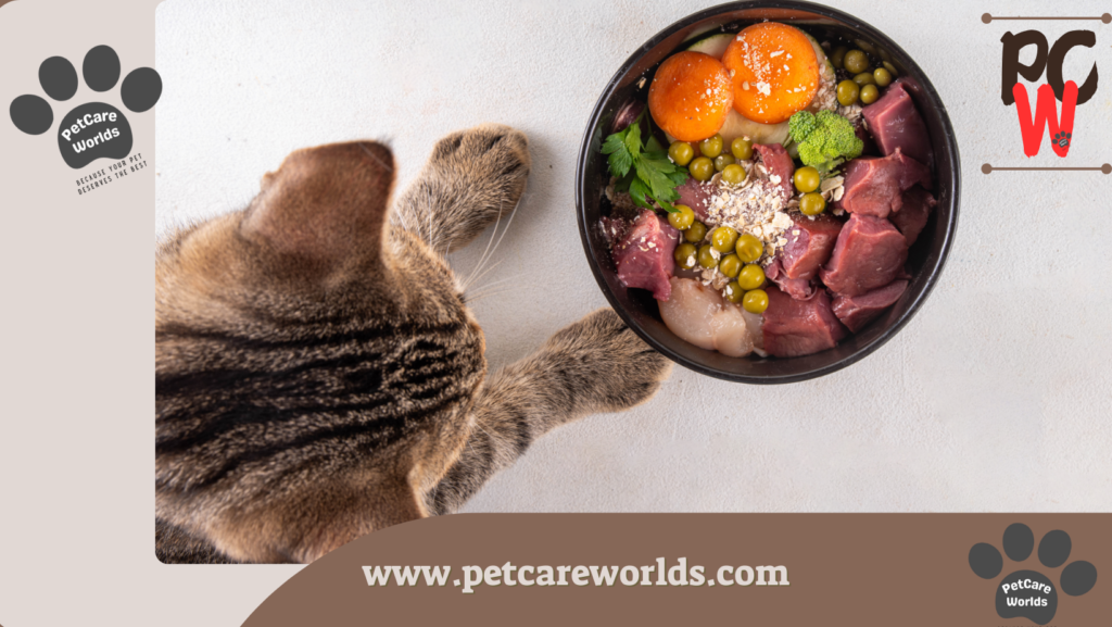 Homemade Cat Food