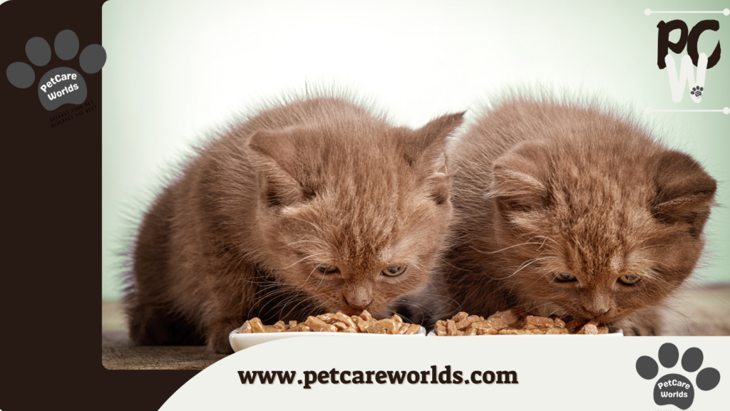 Homemade Cat Food