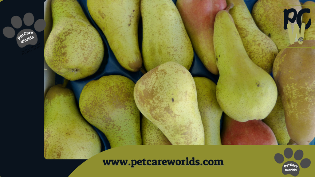 Can Cats Eat Pears 2025