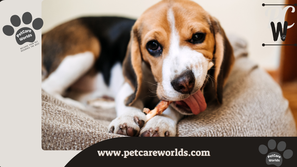 How Long Can a Dog Go Without Eating 2025
