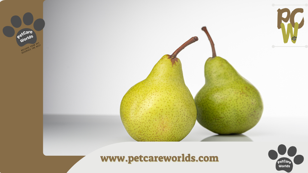 Can Cats Eat Pears 2025