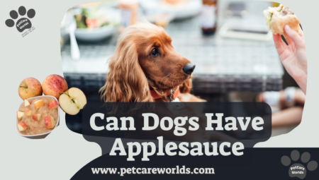 Can Dogs Have Applesauce 2025