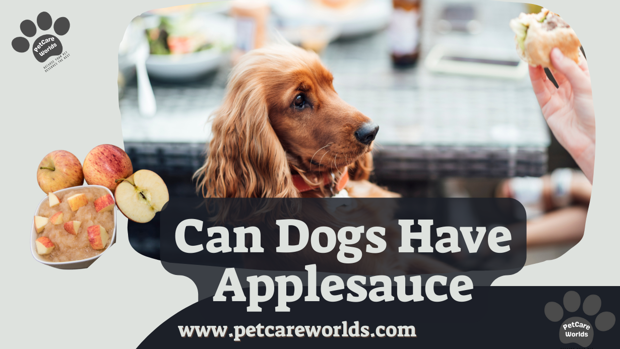 Can dogs have applesauce