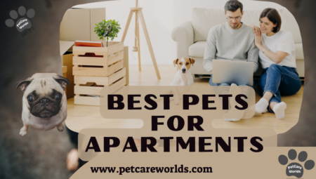 Best Pets for Apartments 2025