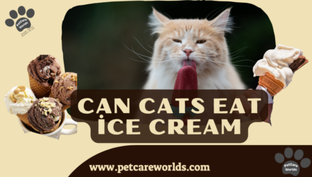 Can Cats Eat ice Cream 2025