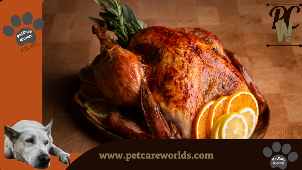 Is turkey good for dogs