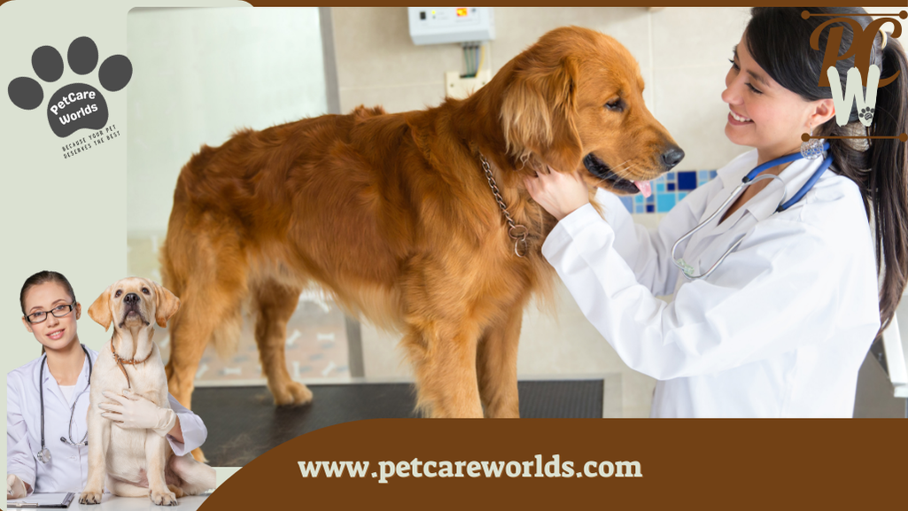  Bloody bowel movement in dogs