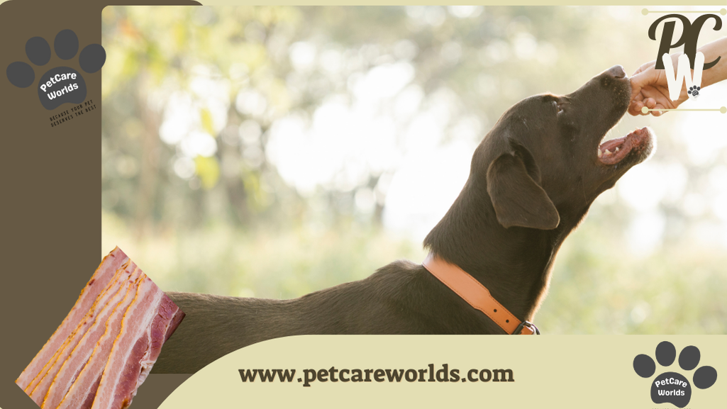 Can Dogs Eat Raw Bacon?