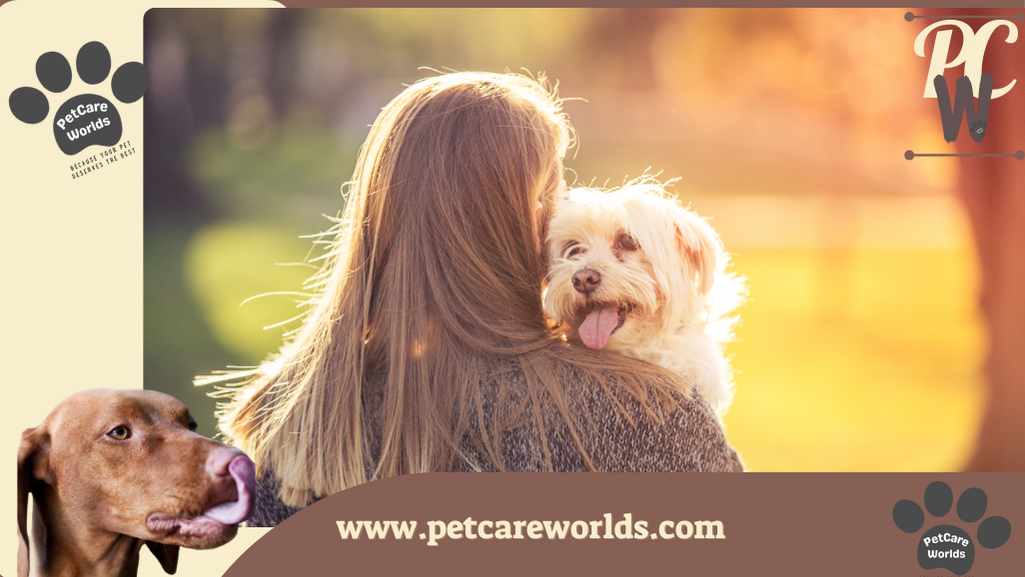 Why Does My Dog Lick Me When I Pet Her?