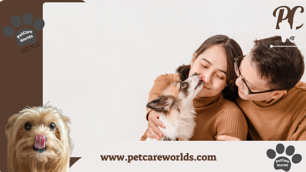 Why Does My Dog Lick Me When I Pet Her?