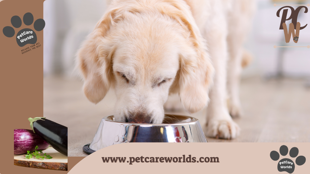 Can Dogs Eat Eggplant?