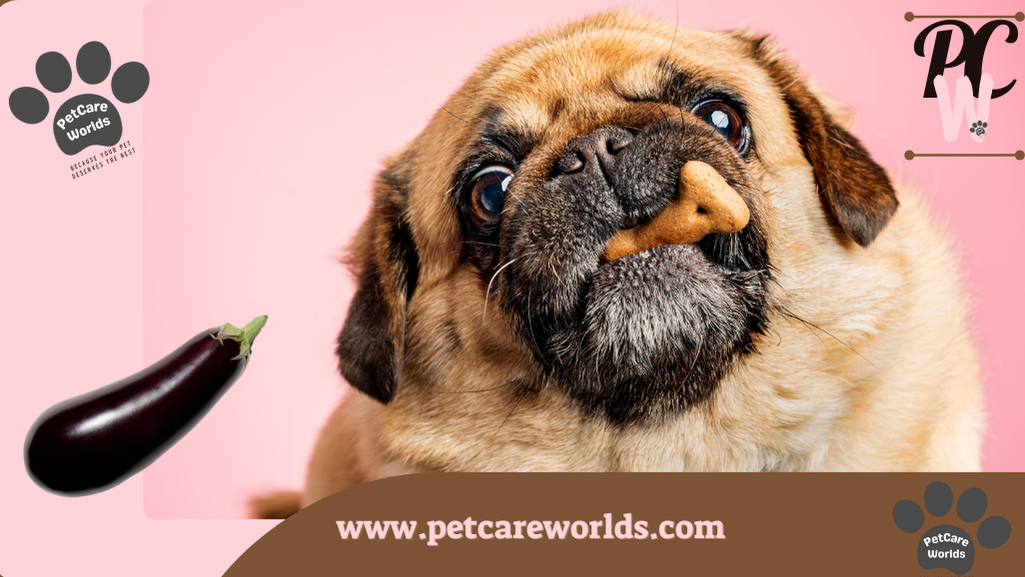 Can Dogs Eat Eggplant?