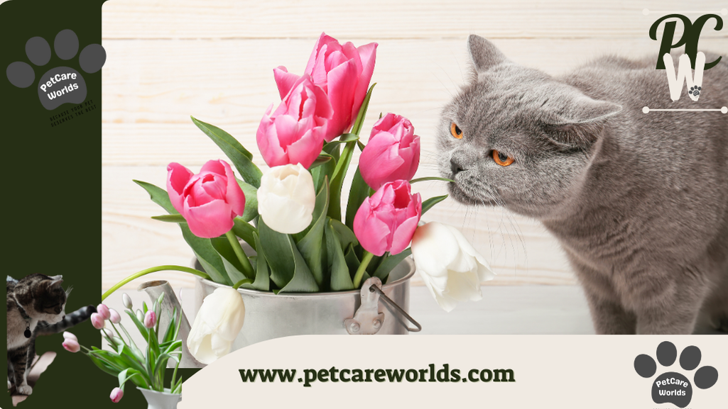 Are tulips poisonous to cats
