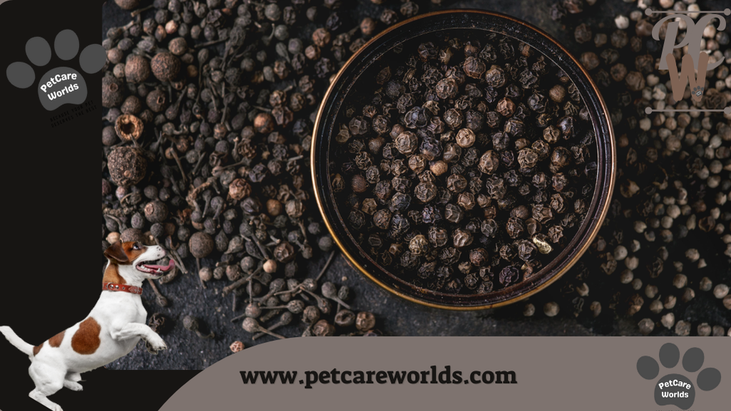 Can dogs eat black pepper