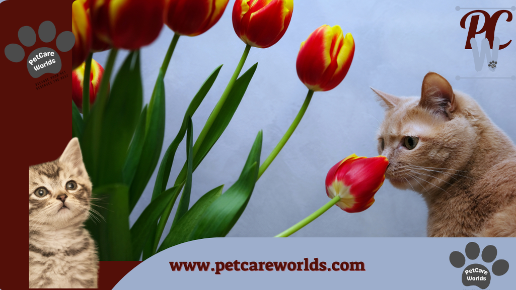 Are tulips poisonous to cats