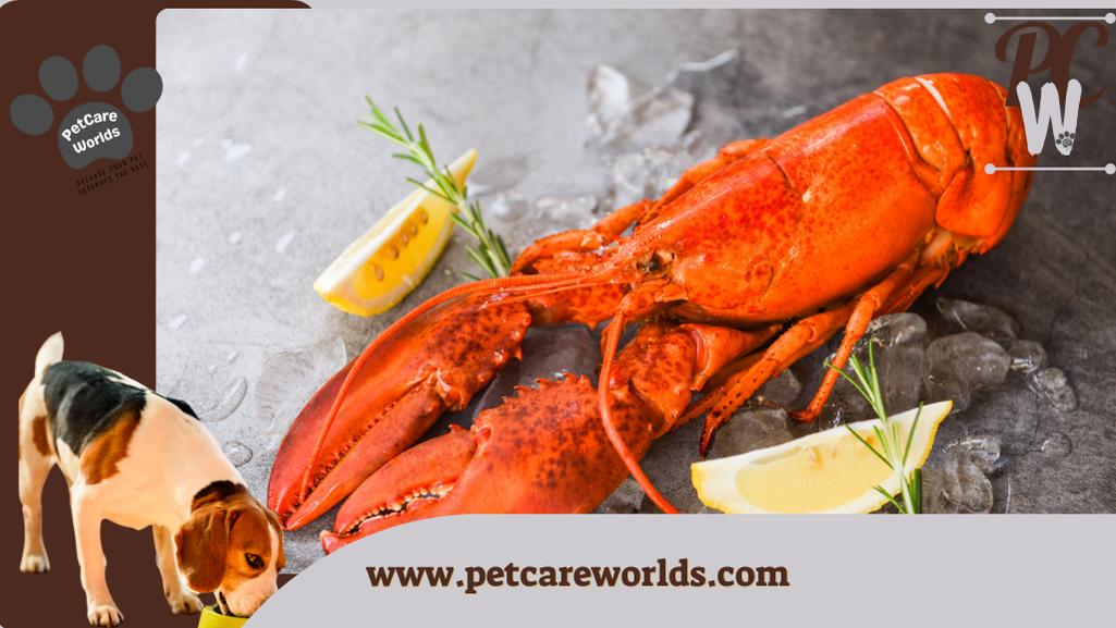Can dogs eat lobster