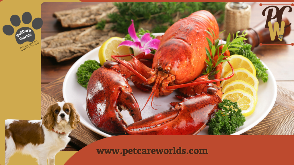 Can dogs eat lobster