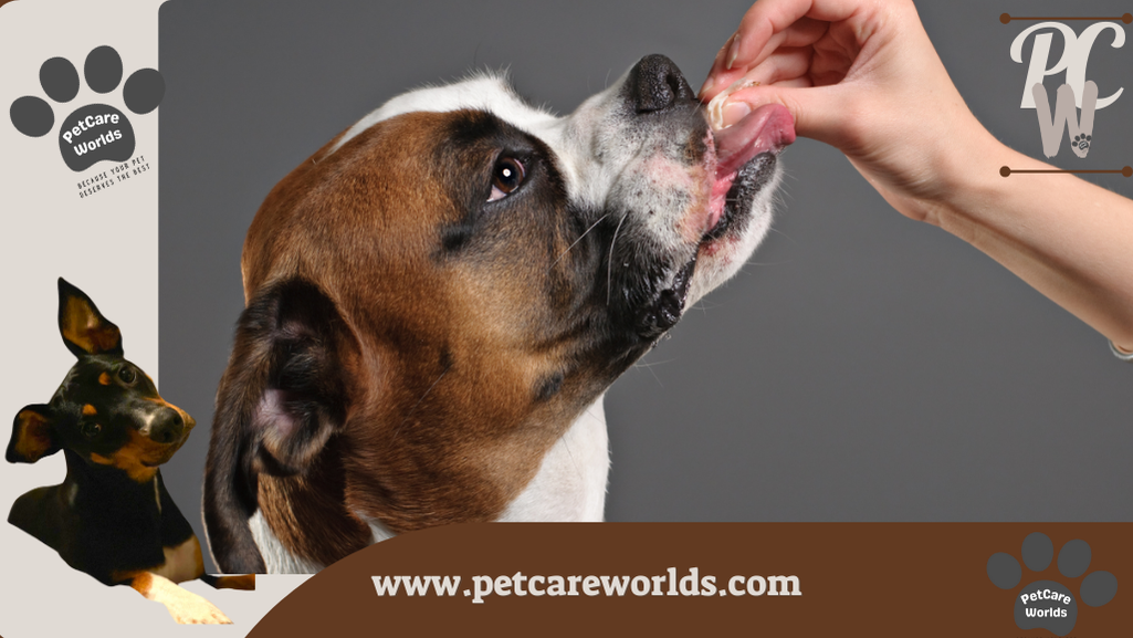 Is turkey good for dogs