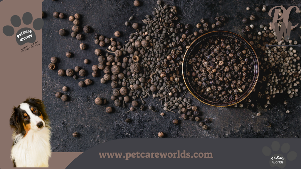Can dogs eat black pepper