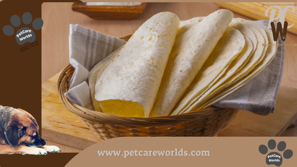 Can dogs eat corn tortillas
