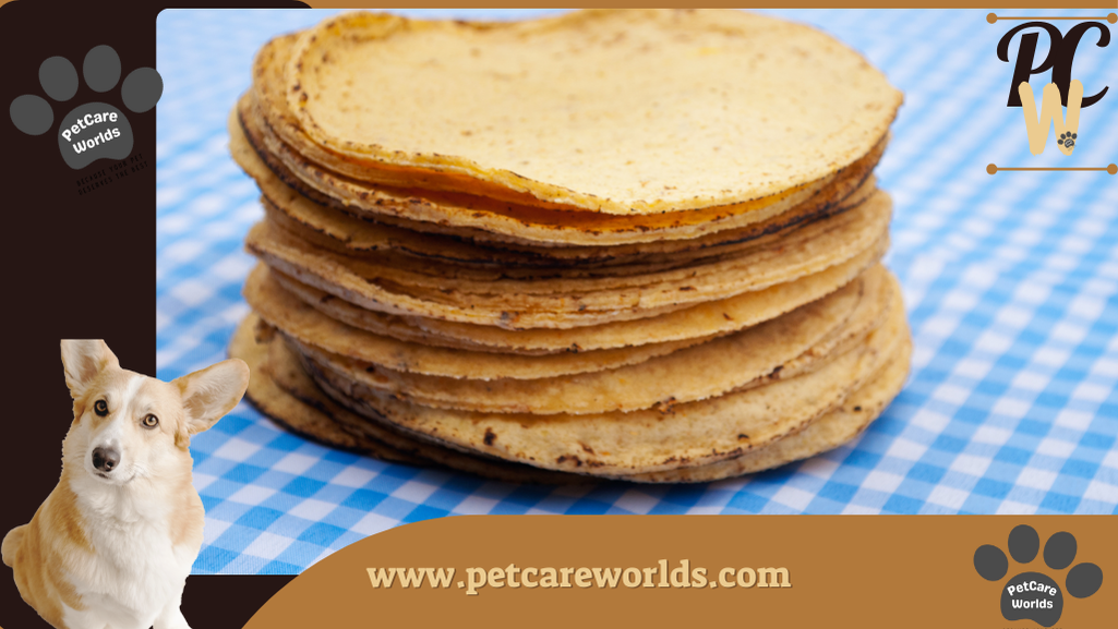 Can dogs eat corn tortillas