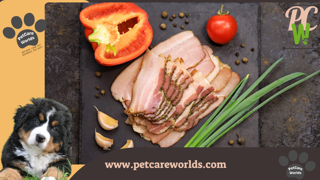 Can Dogs Eat Raw Bacon?