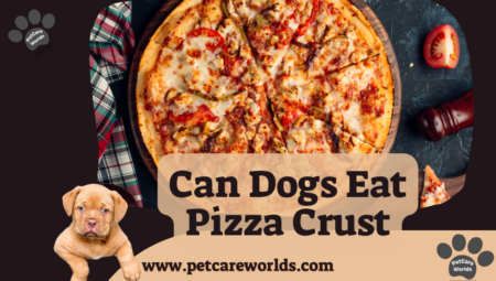 Can Dogs Eat Pizza Crust? 2025