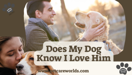 Does My Dog Know I Love Him? 2025
