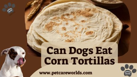 Can Dogs Eat Corn Tortillas? 2025