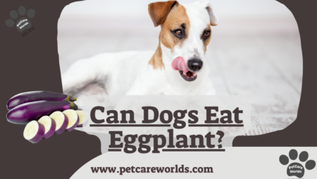 Can Dogs Eat Eggplant? 2025