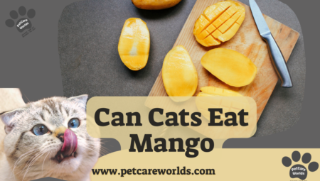 Can Cats Eat Mango? 2025
