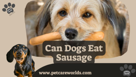 Can Dogs Eat Sausage? 2025